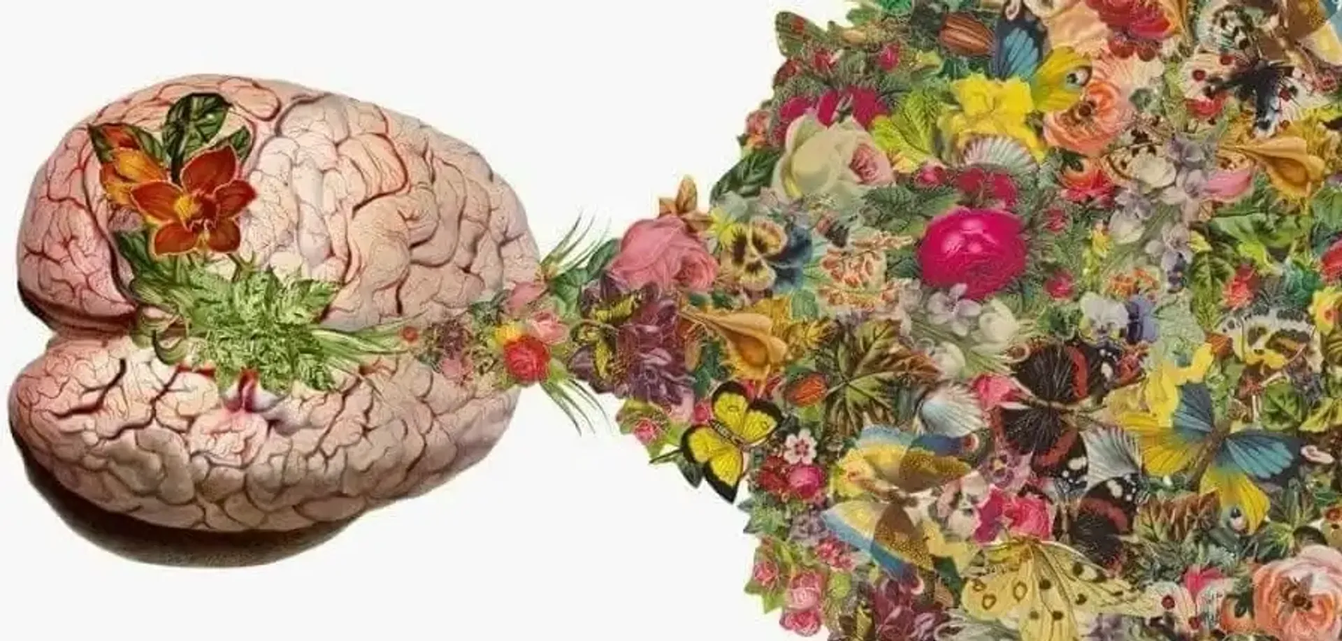 El oficio de escribir