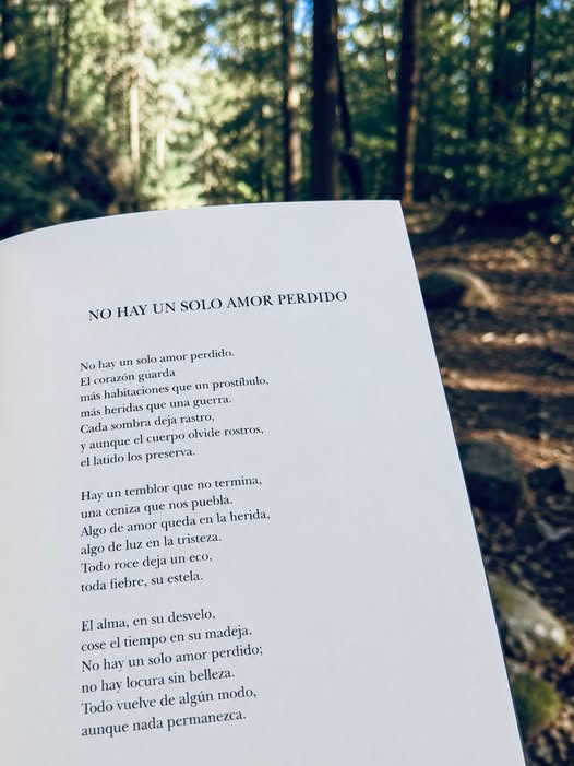 No hay un solo amor perdido